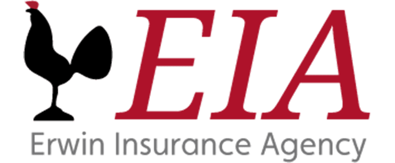 Erwin Logo